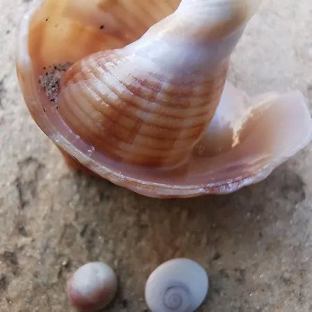 Village De L'ostriconi