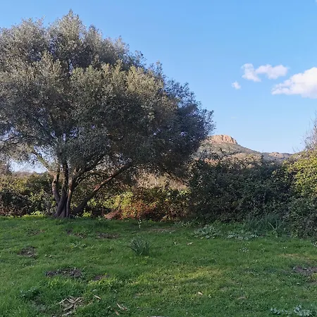 Village De L'ostriconi