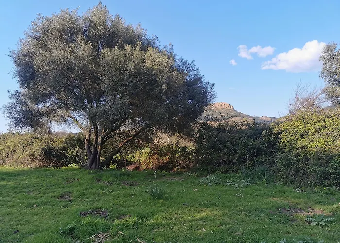 Village De L'ostriconi