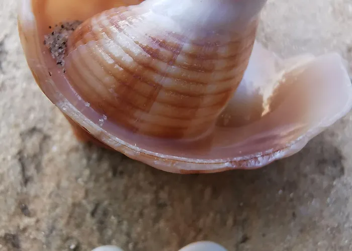 Village De L'ostriconi